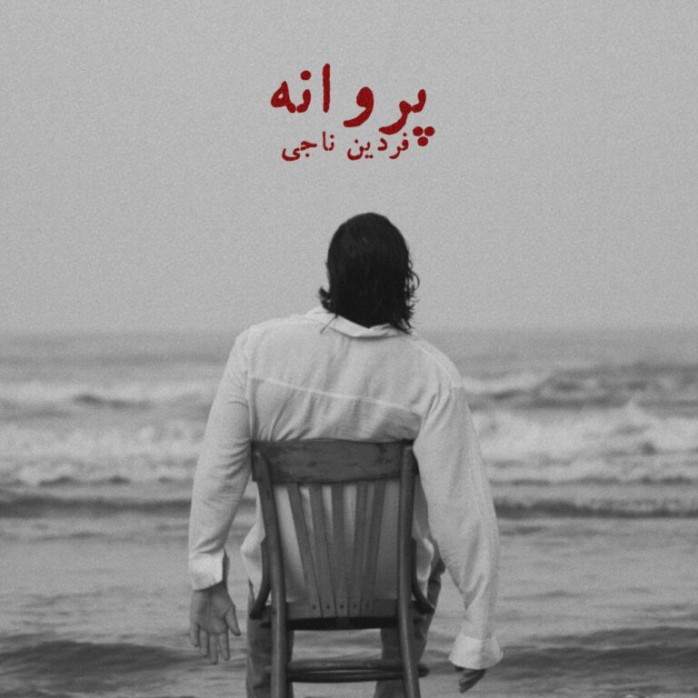 دانلود آهنگ پروانه فردین ناجی